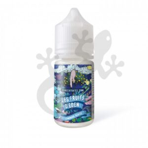 Limonade Glacée - Fruits d’Eden